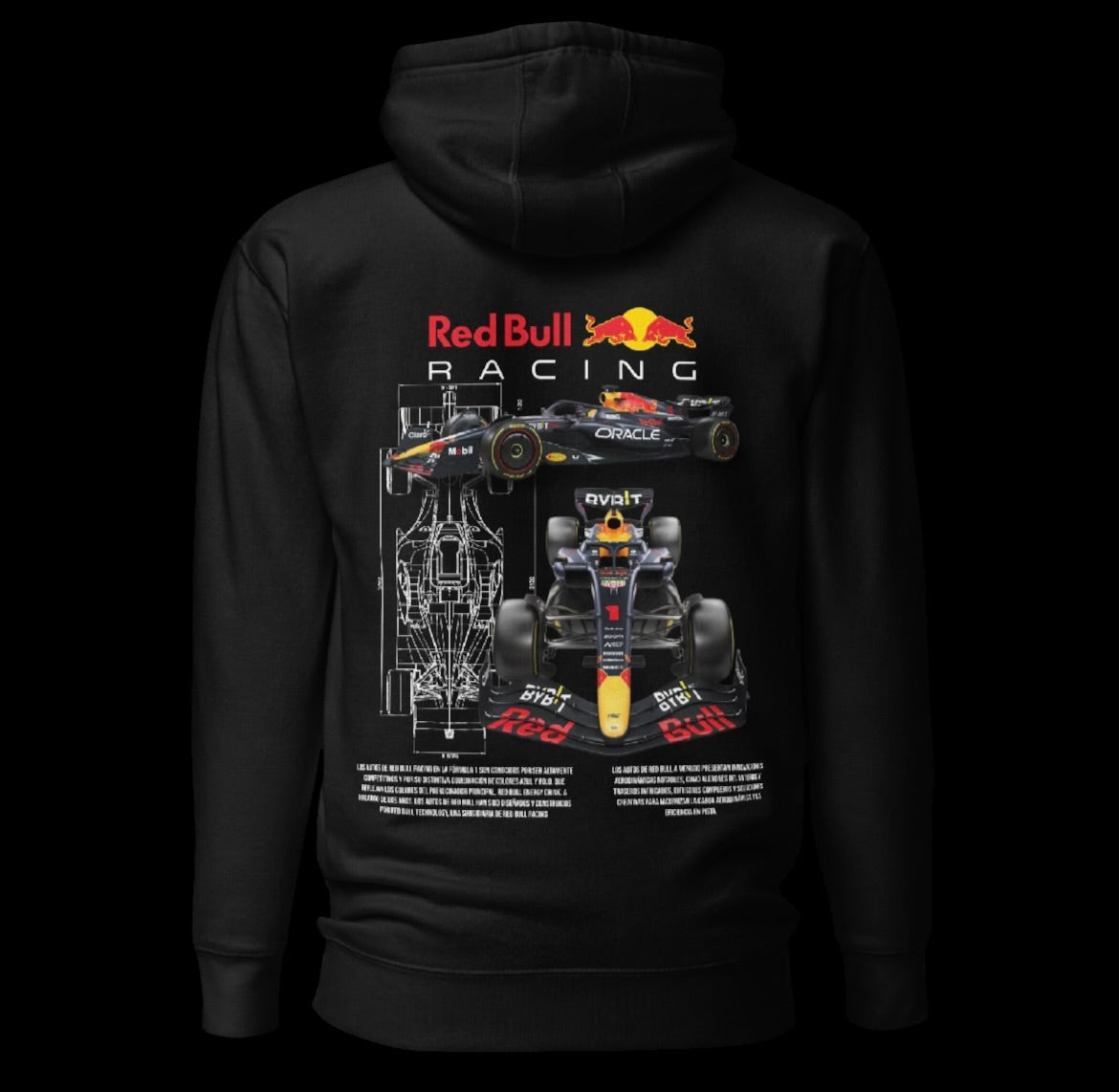 Kawasaki ZX-R6 Black Hoodie – CHANGX